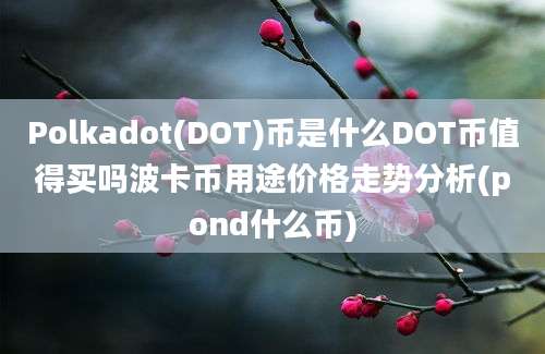 Polkadot(DOT)币是什么DOT币值得买吗波卡币用途价格走势分析(pond什么币)