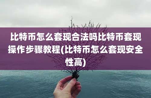 比特币怎么套现合法吗比特币套现操作步骤教程(比特币怎么套现安全性高)