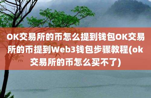 OK交易所的币怎么提到钱包OK交易所的币提到Web3钱包步骤教程(ok交易所的币怎么买不了)