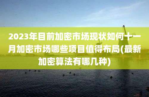 2023年目前加密市场现状如何十一月加密市场哪些项目值得布局(最新加密算法有哪几种)