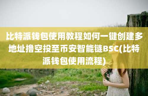 比特派钱包使用教程如何一键创建多地址撸空投至币安智能链BSC(比特派钱包使用流程)