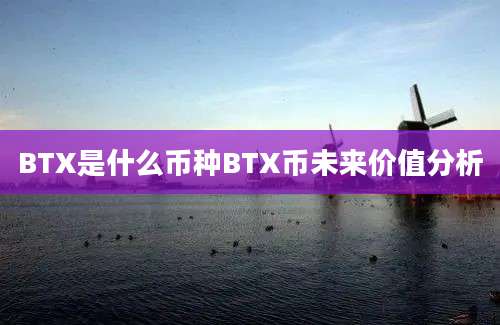 BTX是什么币种BTX币未来价值分析