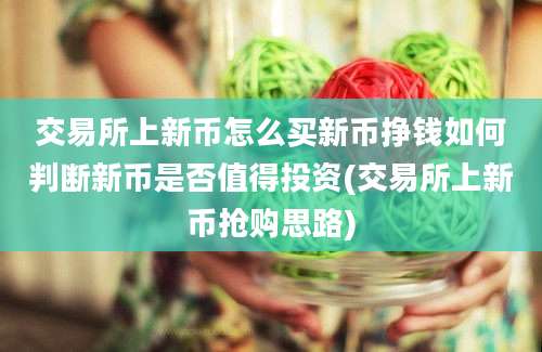 交易所上新币怎么买新币挣钱如何判断新币是否值得投资(交易所上新币抢购思路)