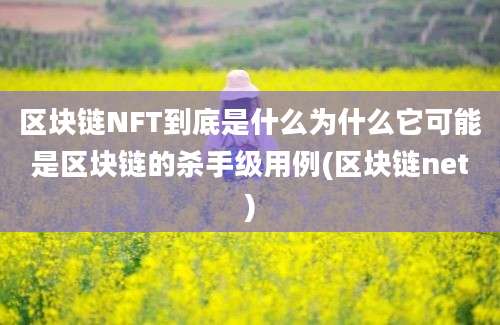 区块链NFT到底是什么为什么它可能是区块链的杀手级用例(区块链net)