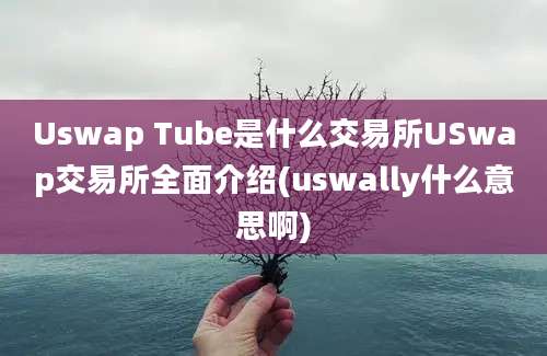 Uswap Tube是什么交易所USwap交易所全面介绍(uswally什么意思啊)