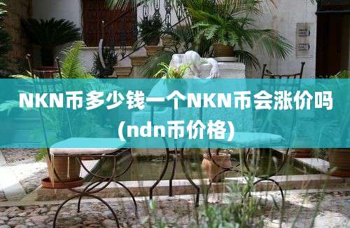 NKN币多少钱一个NKN币会涨价吗(ndn币价格)