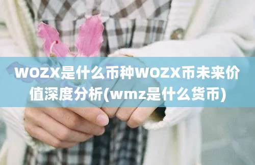 WOZX是什么币种WOZX币未来价值深度分析(wmz是什么货币)