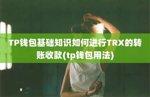 TP钱包基础知识如何进行TRX的转账收款(tp钱包用法)