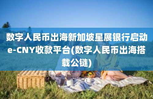 数字人民币出海新加坡星展银行启动e-CNY收款平台(数字人民币出海搭载公链)