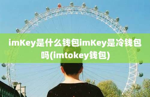 imKey是什么钱包imKey是冷钱包吗(imtokey钱包)