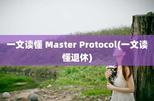 一文读懂 Master Protocol(一文读懂退休)