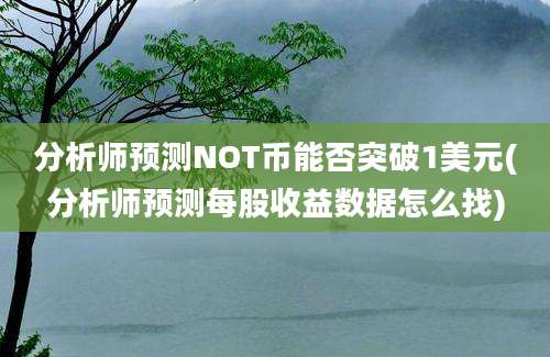 分析师预测NOT币能否突破1美元(分析师预测每股收益数据怎么找)