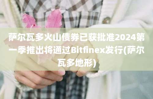 萨尔瓦多火山债券已获批准2024第一季推出将通过Bitfinex发行(萨尔瓦多地形)