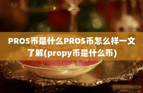 PROS币是什么PROS币怎么样一文了解(propy币是什么币)