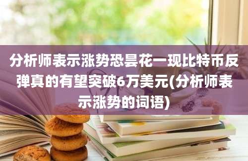 分析师表示涨势恐昙花一现比特币反弹真的有望突破6万美元(分析师表示涨势的词语)