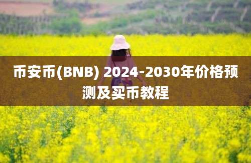 币安币(BNB) 2024-2030年价格预测及买币教程