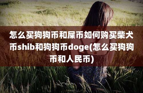 怎么买狗狗币和屎币如何购买柴犬币shib和狗狗币doge(怎么买狗狗币和人民币)