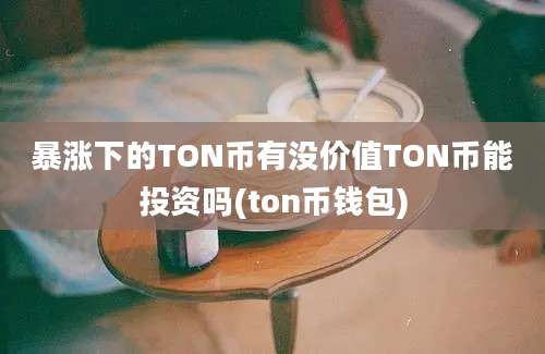 暴涨下的TON币有没价值TON币能投资吗(ton币钱包)