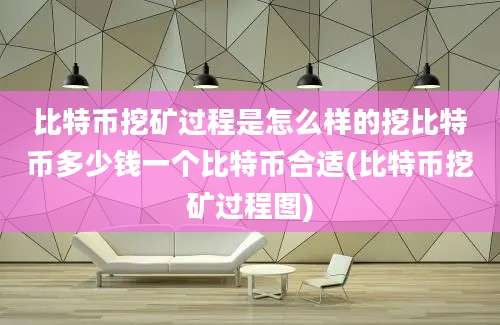 比特币挖矿过程是怎么样的挖比特币多少钱一个比特币合适(比特币挖矿过程图)