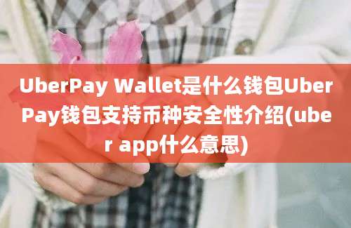 UberPay Wallet是什么钱包UberPay钱包支持币种安全性介绍(uber app什么意思)