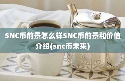 SNC币前景怎么样SNC币前景和价值介绍(snc币未来)