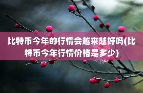 比特币今年的行情会越来越好吗(比特币今年行情价格是多少)