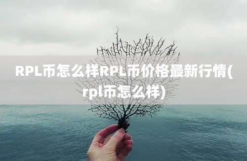 RPL币怎么样RPL币价格最新行情(rpl币怎么样)