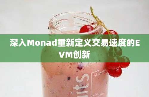 深入Monad重新定义交易速度的EVM创新