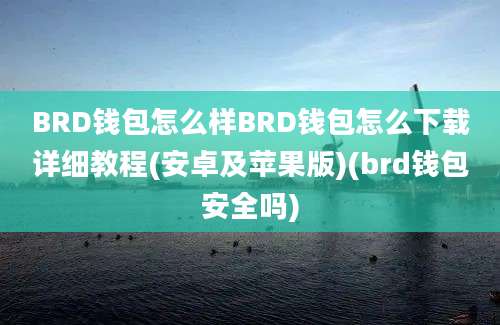 BRD钱包怎么样BRD钱包怎么下载详细教程(安卓及苹果版)(brd钱包安全吗)