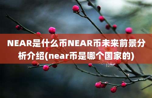 NEAR是什么币NEAR币未来前景分析介绍(near币是哪个国家的)