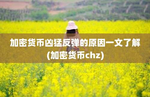 加密货币凶猛反弹的原因一文了解(加密货币chz)