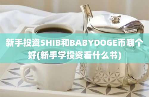 新手投资SHIB和BABYDOGE币哪个好(新手学投资看什么书)