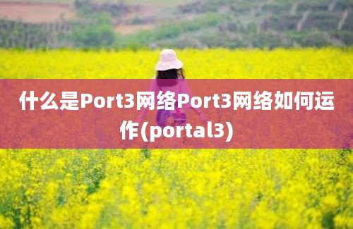 什么是Port3网络Port3网络如何运作(portal3)