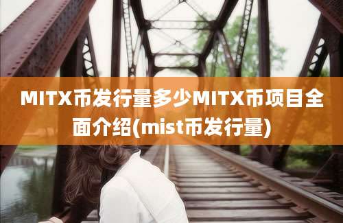 MITX币发行量多少MITX币项目全面介绍(mist币发行量)