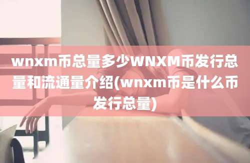 wnxm币总量多少WNXM币发行总量和流通量介绍(wnxm币是什么币发行总量)