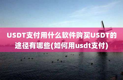 USDT支付用什么软件购买USDT的途径有哪些(如何用usdt支付)