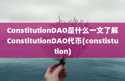 ConstitutionDAO是什么一文了解ConstitutionDAO代币(constistution)