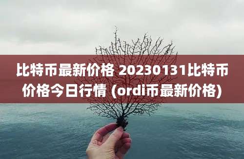 比特币最新价格 20230131比特币价格今日行情 (ordi币最新价格)