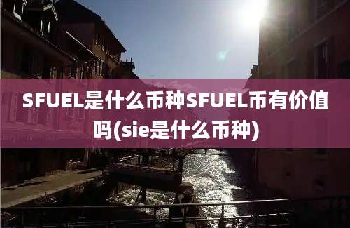 SFUEL是什么币种SFUEL币有价值吗(sie是什么币种)