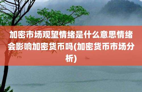 加密市场观望情绪是什么意思情绪会影响加密货币吗(加密货币市场分析)