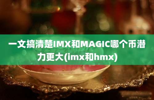 一文搞清楚IMX和MAGIC哪个币潜力更大(imx和hmx)