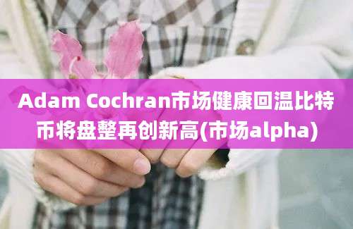 Adam Cochran市场健康回温比特币将盘整再创新高(市场alpha)