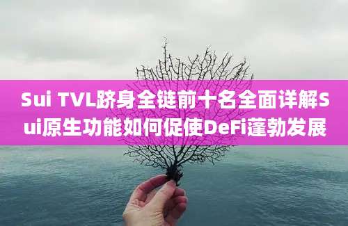 Sui TVL跻身全链前十名全面详解Sui原生功能如何促使DeFi蓬勃发展