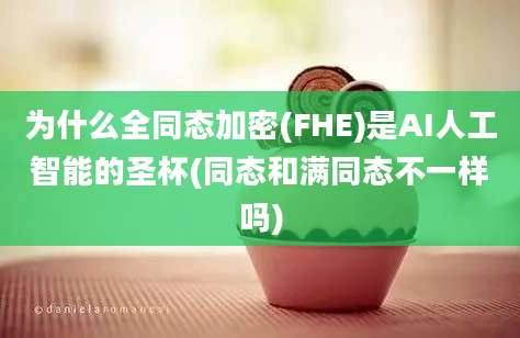 为什么全同态加密(FHE)是AI人工智能的圣杯(同态和满同态不一样吗)