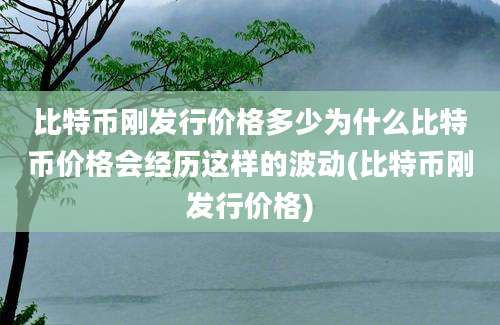 比特币刚发行价格多少为什么比特币价格会经历这样的波动(比特币刚发行价格)