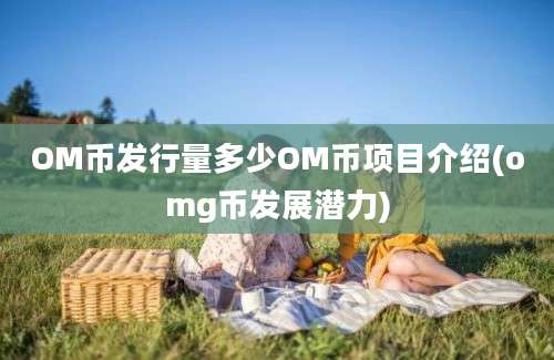 OM币发行量多少OM币项目介绍(omg币发展潜力)