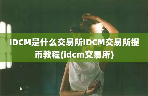 IDCM是什么交易所IDCM交易所提币教程(idcm交易所)