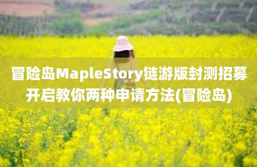 冒险岛MapleStory链游版封测招募开启教你两种申请方法(冒险岛)