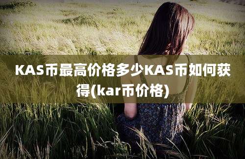 KAS币最高价格多少KAS币如何获得(kar币价格)