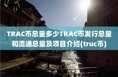 TRAC币总量多少TRAC币发行总量和流通总量及项目介绍(truc币)